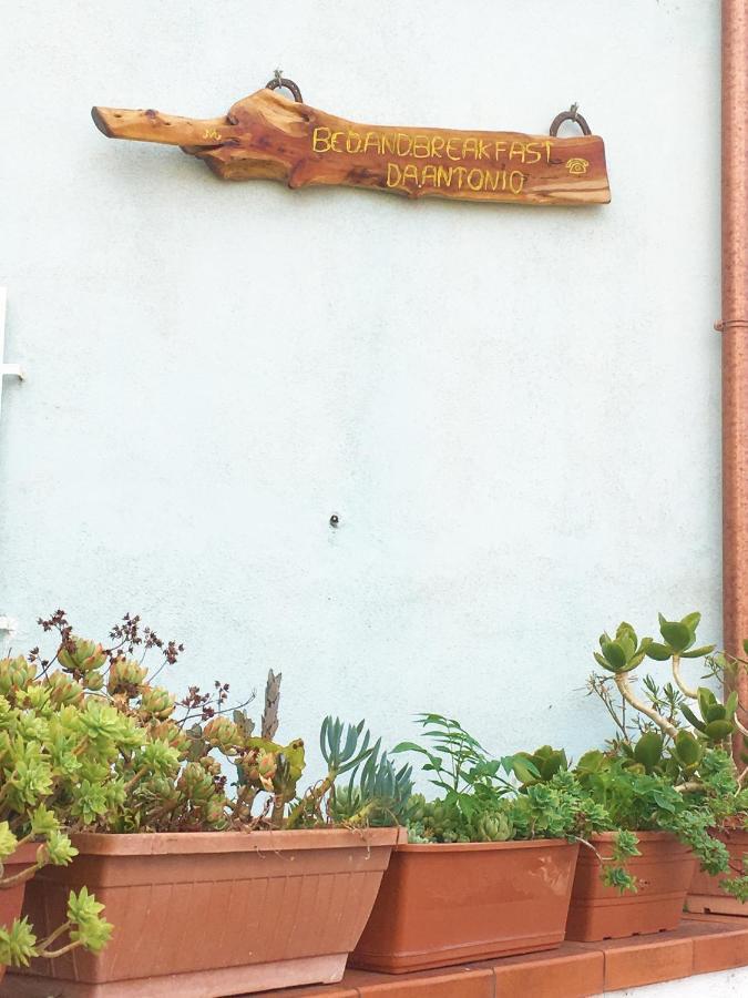 Bed And Breakfast Da Antonio - Orgosolo Εξωτερικό φωτογραφία